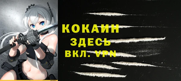 соль ск Алексин