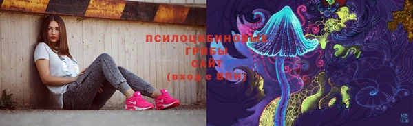 дурь Абинск