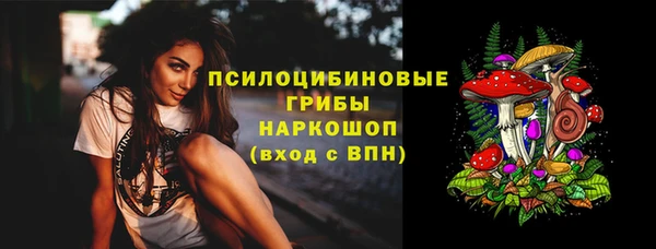 соль ск Алексин