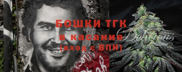 соль ск Алексин