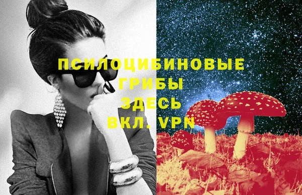 амф Алзамай