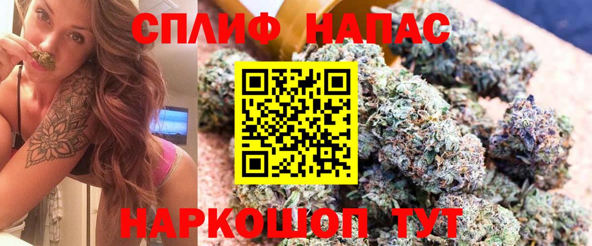 Бошки марихуана сатива  Шишки марихуана марихуана  Черкесск  Вход с VPN 